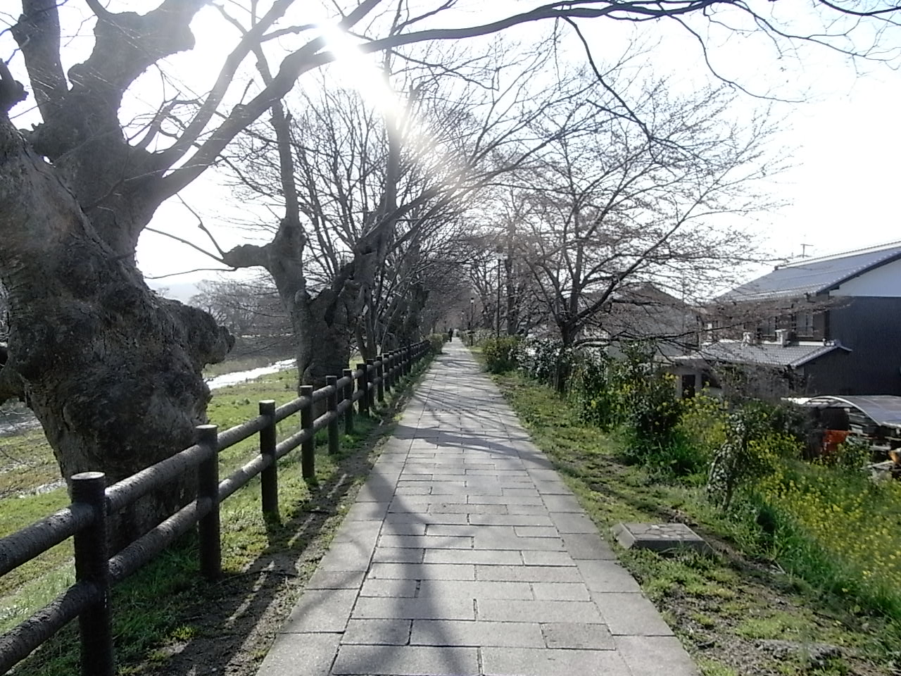 f0178153_102308.jpg