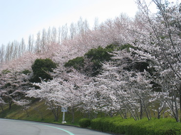 f0233356_12374762.jpg