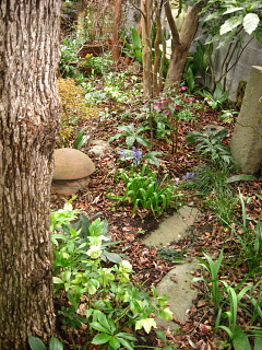 a0021558_1225315.jpg