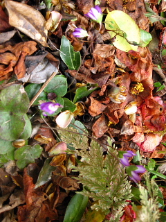 a0021558_12281836.jpg
