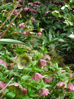 a0021558_12294077.jpg