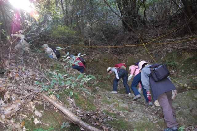 c0108460_22365485.jpg
