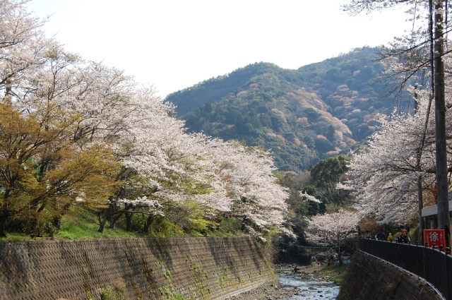 c0108460_22473023.jpg