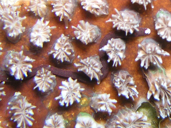 b0062363_8352641.jpg