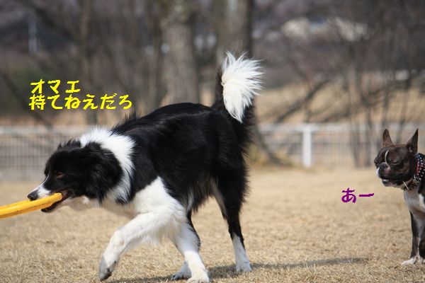 a0100564_10332568.jpg
