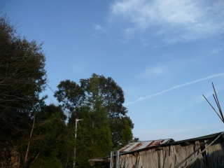 f0055264_23453991.jpg