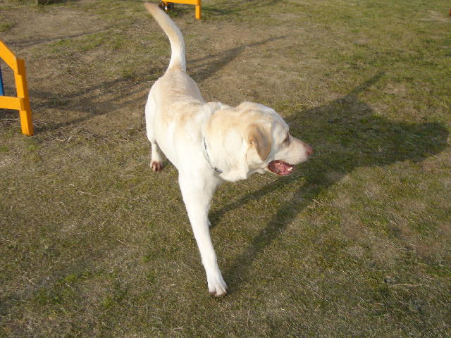 f0057565_10421077.jpg