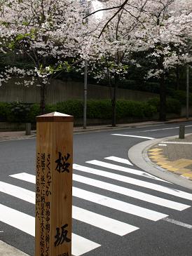 c0102268_21232260.jpg