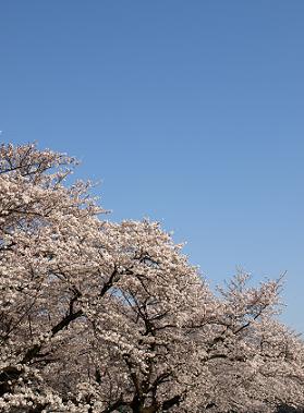 c0102268_2136165.jpg