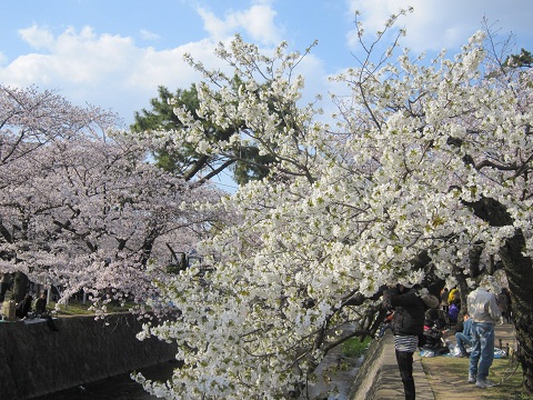 c0224470_2312069.jpg