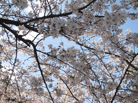c0224470_2375810.jpg