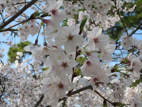 c0224470_2383570.jpg