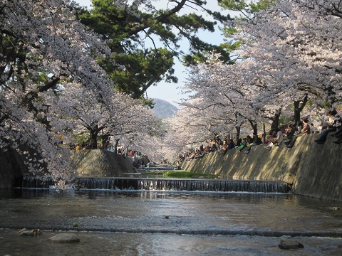 c0224470_2385736.jpg
