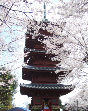 e0142170_1961990.jpg