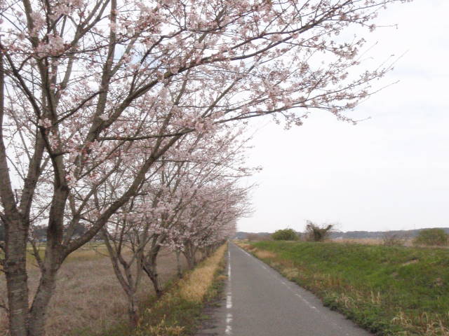a0113874_19403653.jpg