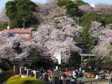 f0183274_22581341.jpg