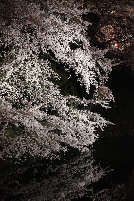 c0210275_23123248.jpg