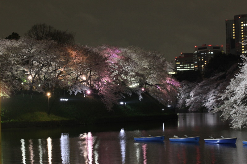 c0210275_23125661.jpg