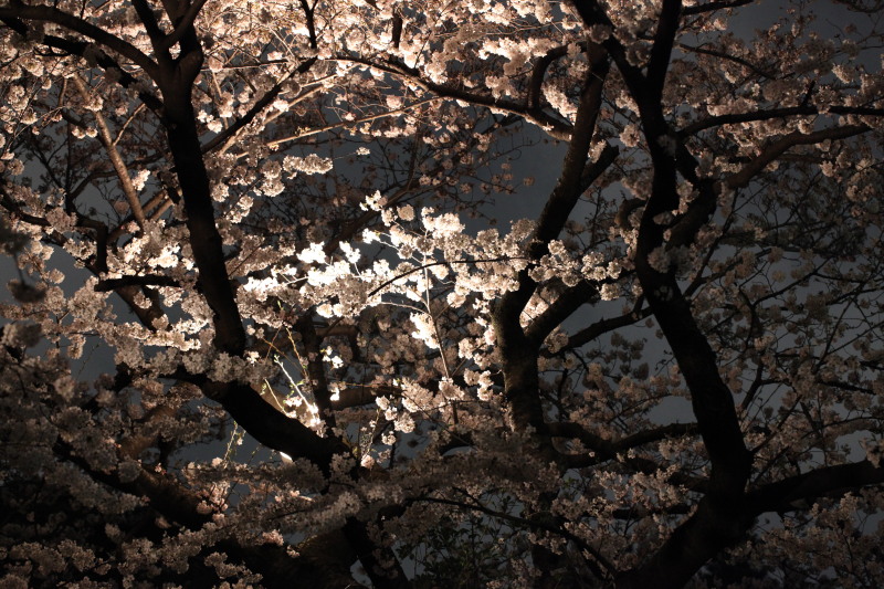 c0210275_23132733.jpg