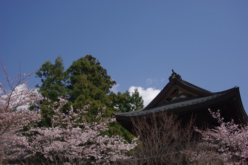 f0054075_22181894.jpg