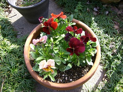 c0015978_15254479.jpg