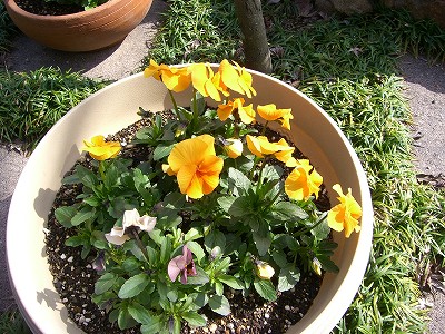 c0015978_15493620.jpg