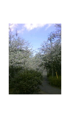 f0100480_12553842.jpg