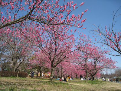 a0038882_1415630.jpg