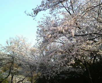 f0192582_22511324.jpg