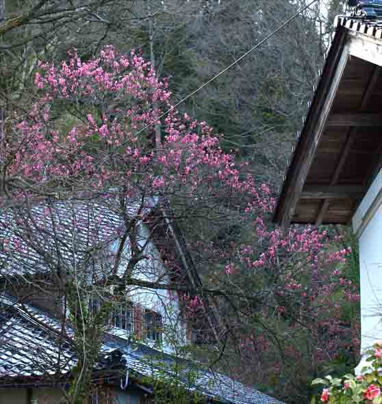 d0088788_2254029.jpg