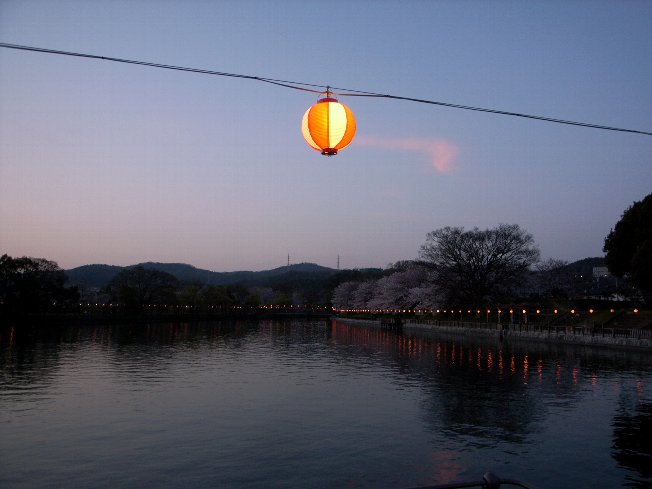 b0161189_23201399.jpg