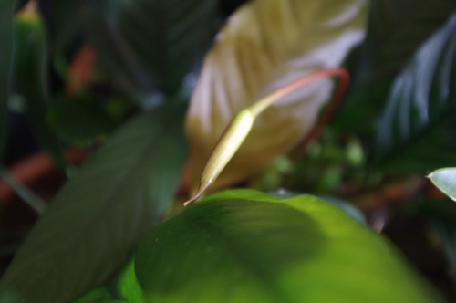 c0074591_0172128.jpg