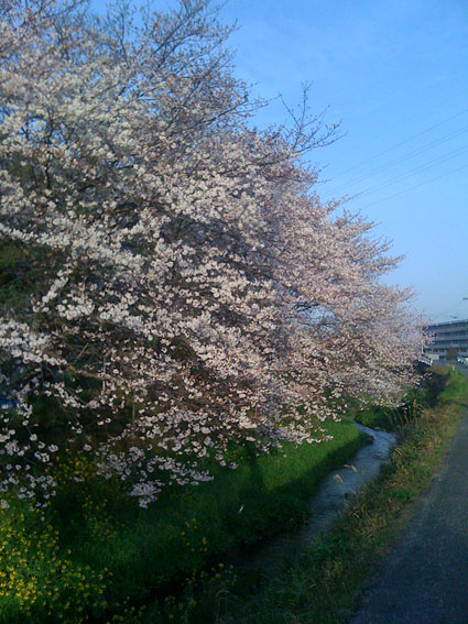 f0201191_10251629.jpg