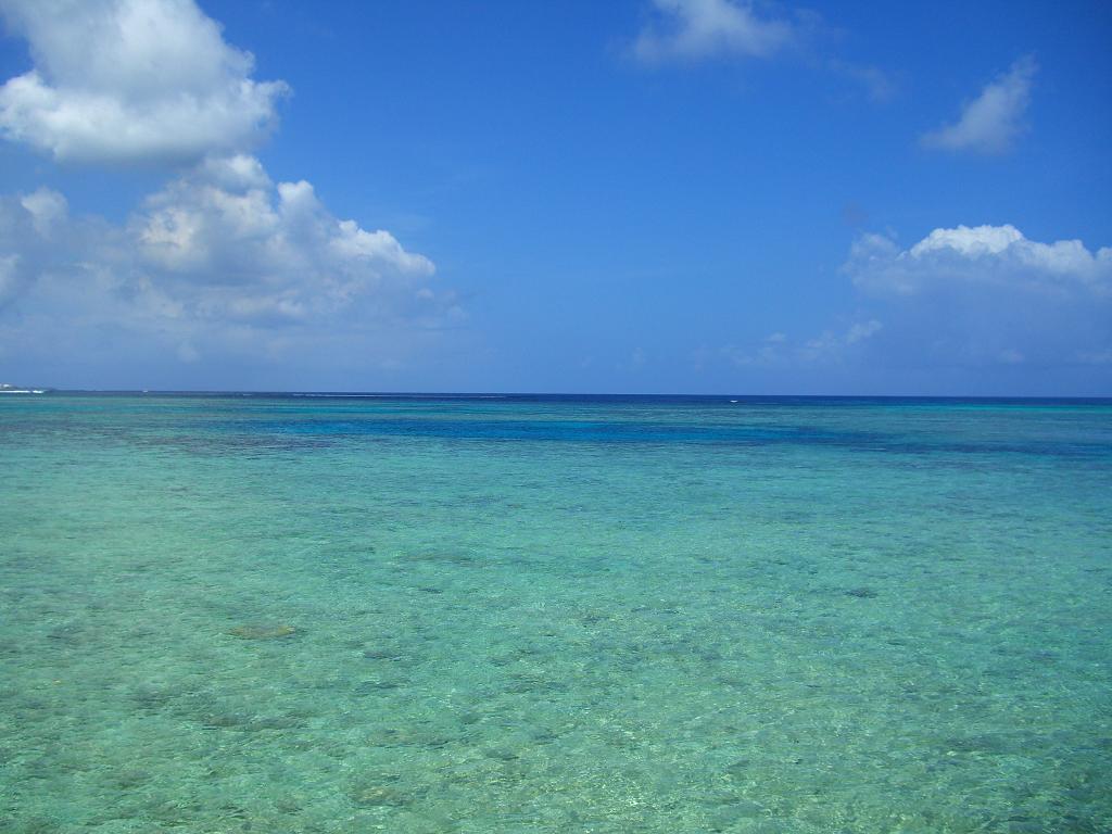 b0054792_1355537.jpg