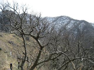 f0117892_2391515.jpg