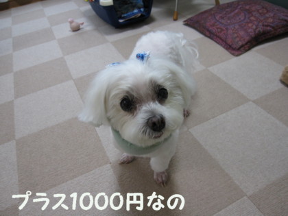 f0145192_16461216.jpg