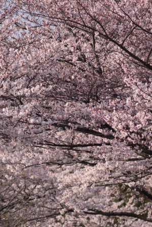 d0133693_23265781.jpg