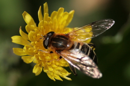 d0133693_2326692.jpg