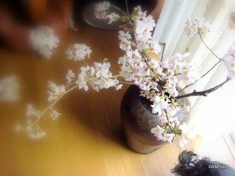 f0137694_11112437.jpg