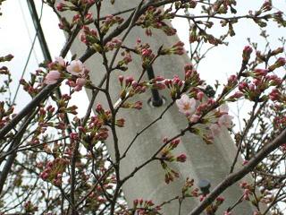 b0052195_23103323.jpg