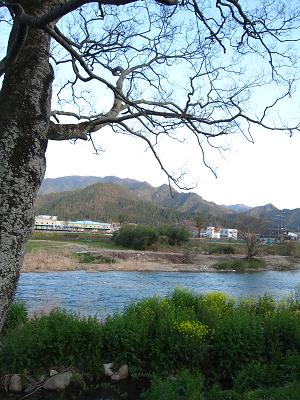 c0118495_2250387.jpg