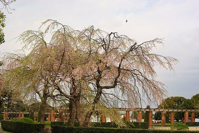 c0125596_22493060.jpg