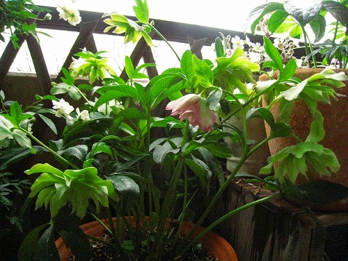 c0227800_1628992.jpg
