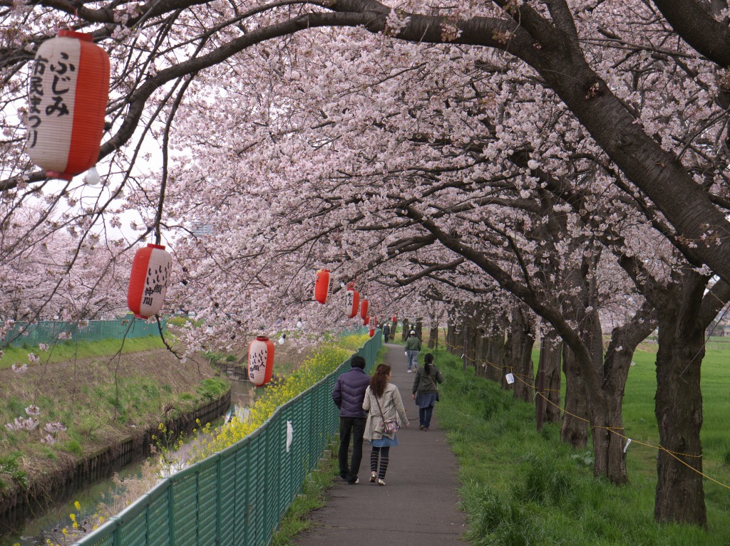 f0224100_583854.jpg