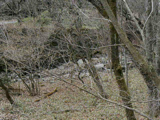 f0164503_10202630.jpg