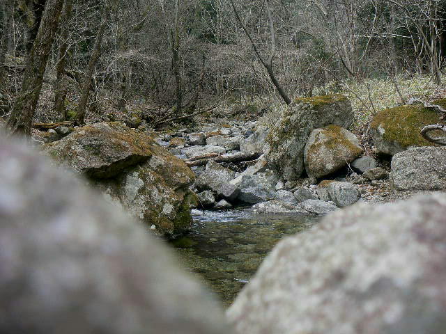f0164503_1026834.jpg