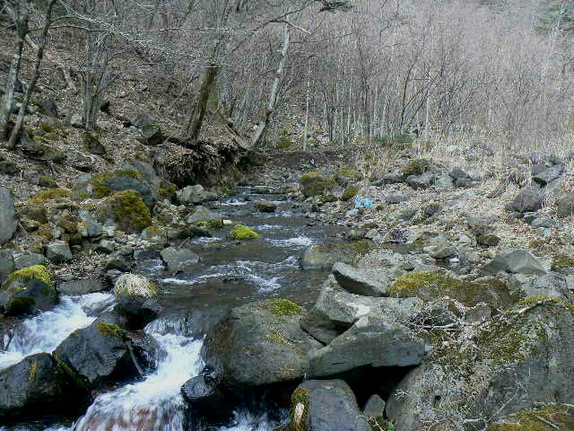 f0164503_17481921.jpg