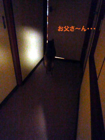 e0131506_2354555.jpg