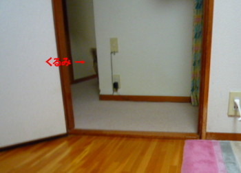 e0131506_237191.jpg