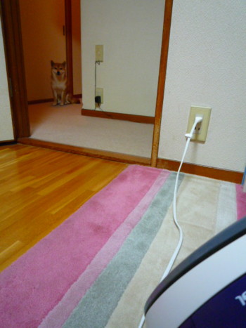 e0131506_2374946.jpg